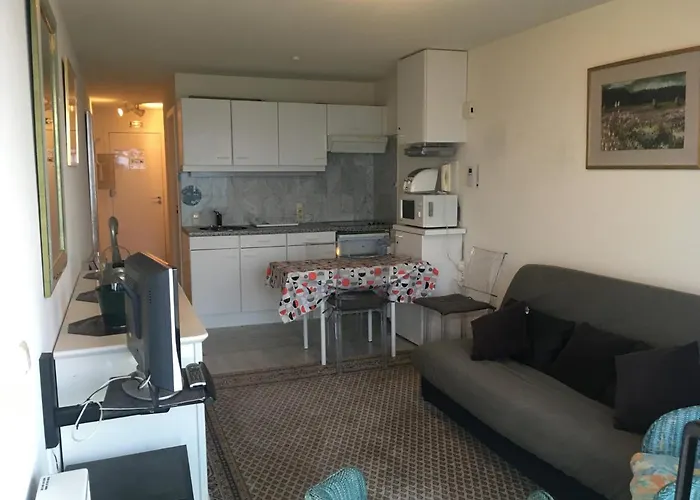 Prachtige Studio Met Frontaal Zeezicht En Terras 4 Pers.